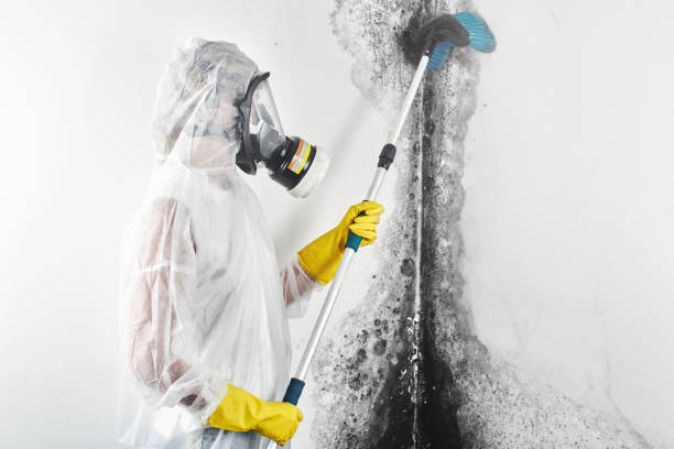 Best Comprehensive Air Testing for Mold Contaminants  in Bethlehem, NC
