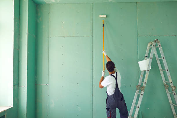 Best Environmental Consulting for Mold Prevention  in Bethlehem, NC