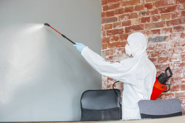 Best Mold Remediation for Healthcare Facilities  in Bethlehem, NC