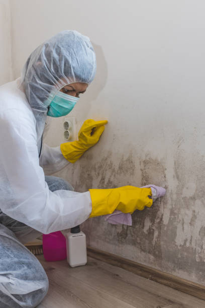 Best Commercial Mold Inspection  in Bethlehem, NC
