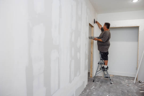 Best Mold Damage Restoration  in Bethlehem, NC