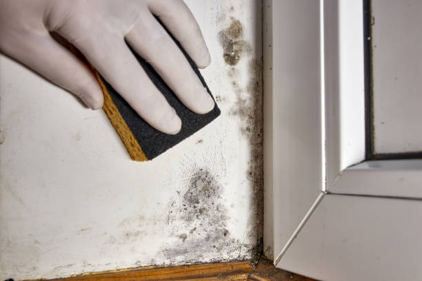 Best HVAC Mold Inspection and Cleaning  in Bethlehem, NC