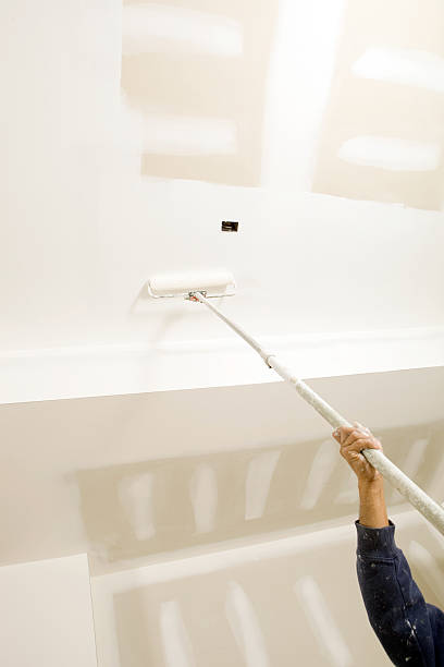 Best Post-Construction Mold Inspection  in Bethlehem, NC